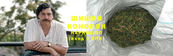 крисы Корсаков