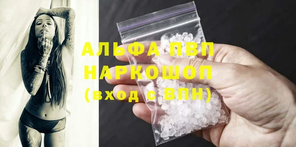 крисы Корсаков