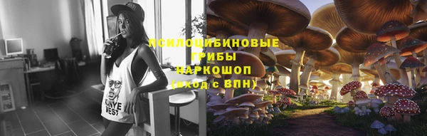 амф Абаза