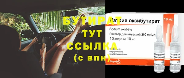 крисы Корсаков