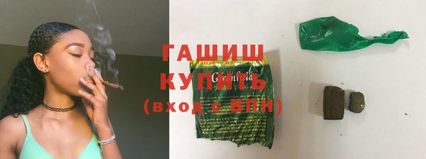 крисы Корсаков