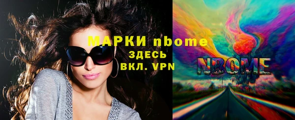 крисы Корсаков