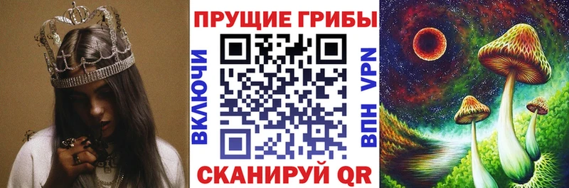 купить наркоту  Ялуторовск  Псилоцибиновые грибы мицелий 